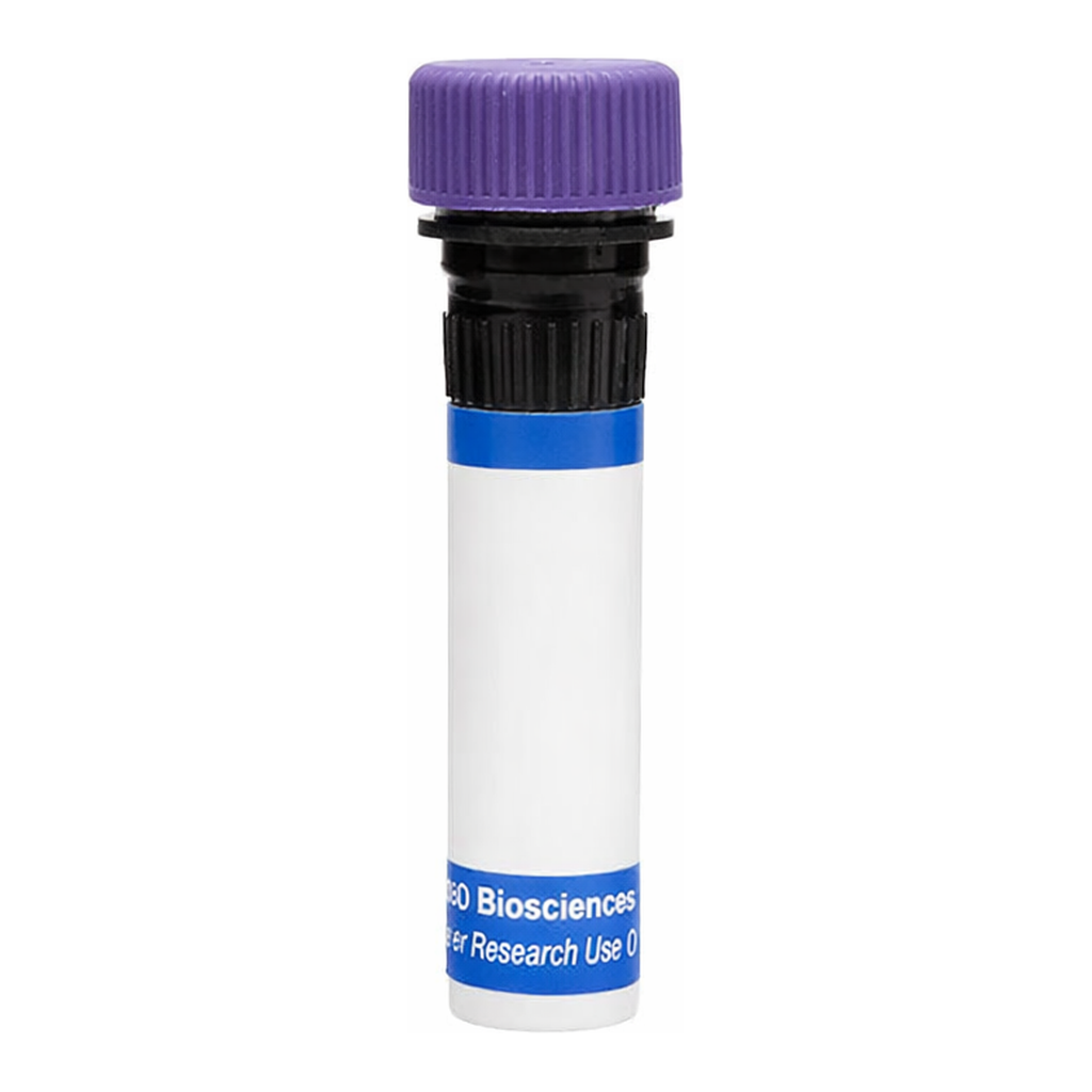 BD RB744 Mouse Anti-Human IgE