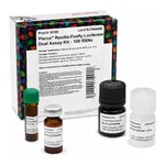 Thermo Fisher Scientific Pierce Renilla-Firefly Luciferase Dual Assay Kit, 100 Reaction Kit