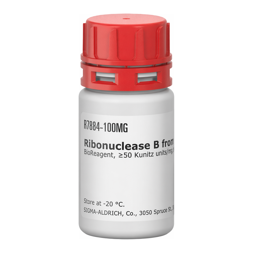 Merck RIBONUCLEASE B FROM FROM BOVINE PANCREA&