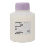 Thermo Fisher Scientific ProcartaPlex Reading Buffer