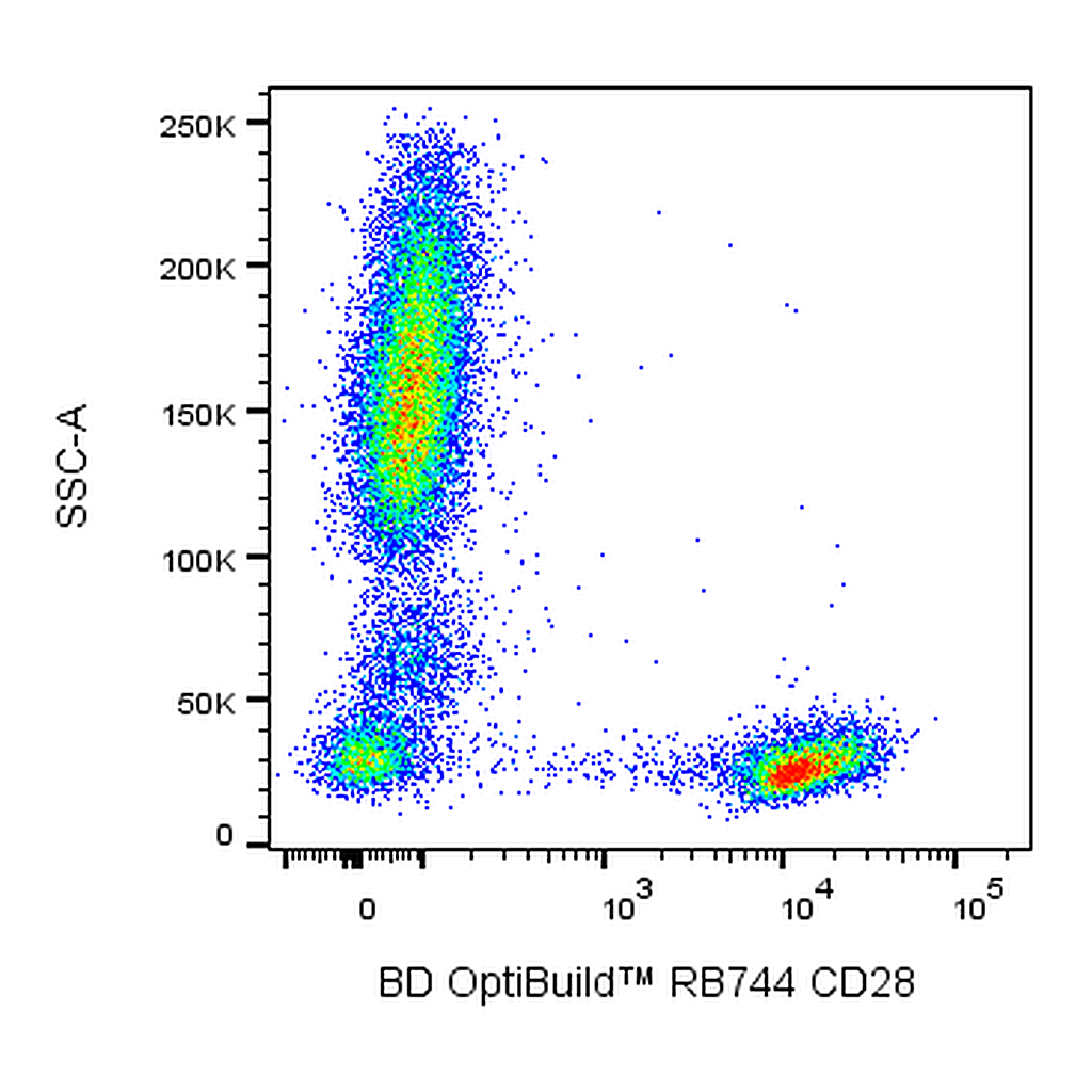 BD RB744 Mouse Anti-Human CD28