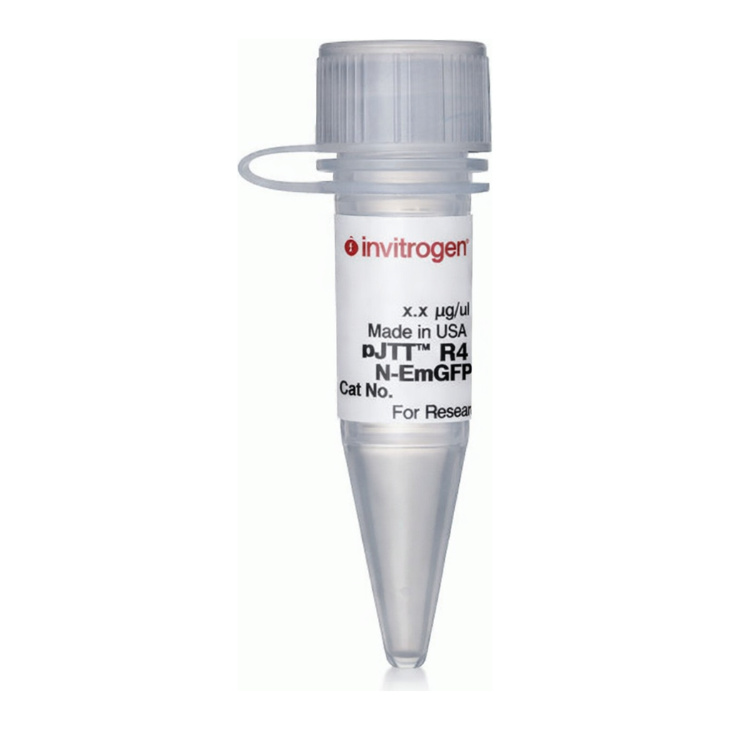 Thermo Fisher Scientific pJTI R4 Dest CMV N-EmGFP pA Vector