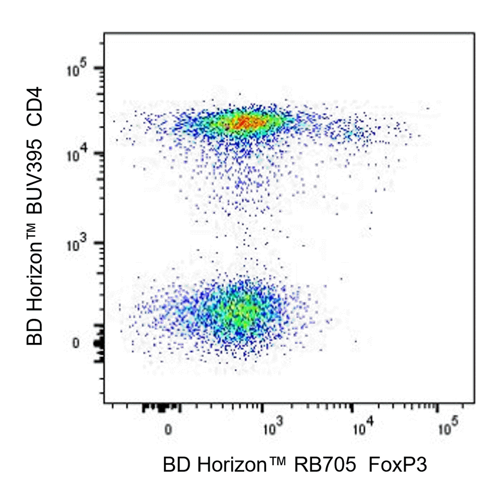BD RB705 Mouse Anti-Human FoxP3