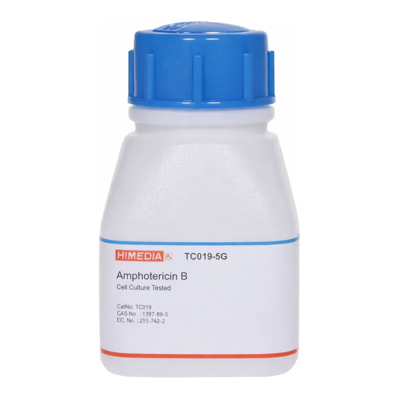 Himedia Amphotericin B