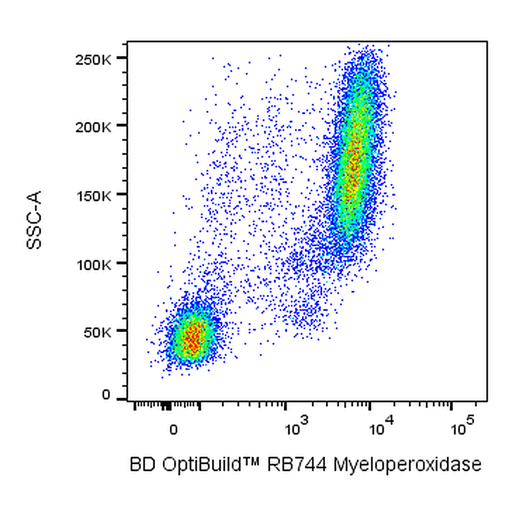 BD RB744 Mouse Anti-Human Myeloperoxidase