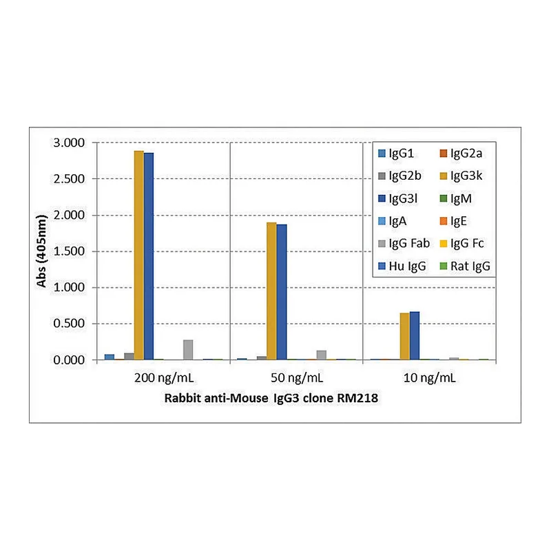 Merck Anti-Mouse IgG3 antibody, Rabbit monoclonal