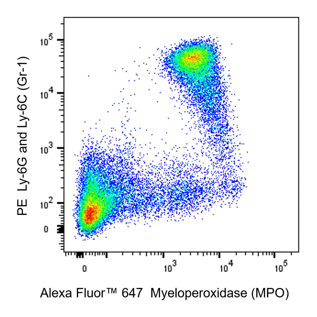 BD Alexa Fluor 647 Mouse Anti-Mouse Myeloperoxidase (MPO)