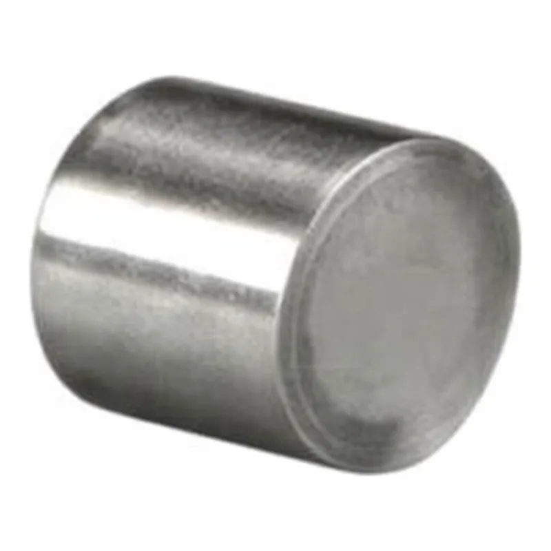 Waters XBridge BEH C18 Prep Guard Cartridge, 130Å, 10 µm, 10 mm X 10 mm, 1/pk