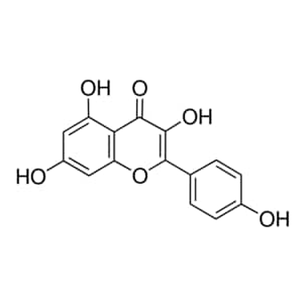 Merck KAEMPFEROL, UNITED STATES PHARMACOPEIA (