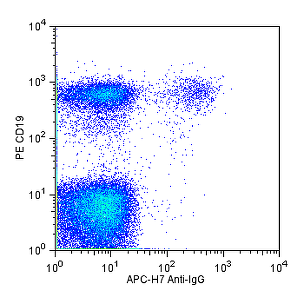 BD APC-H7 Mouse Anti-Human IgG