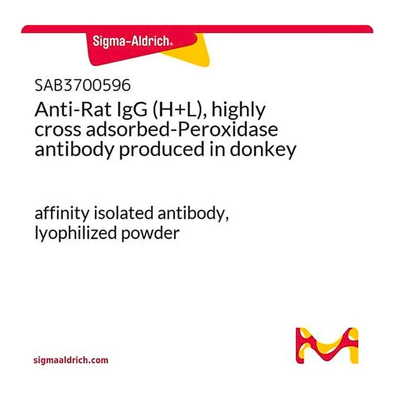 Merck Anti-Rat IgG (H+L), highly cross adsorbed-Peroxidase antibody produced in donkey