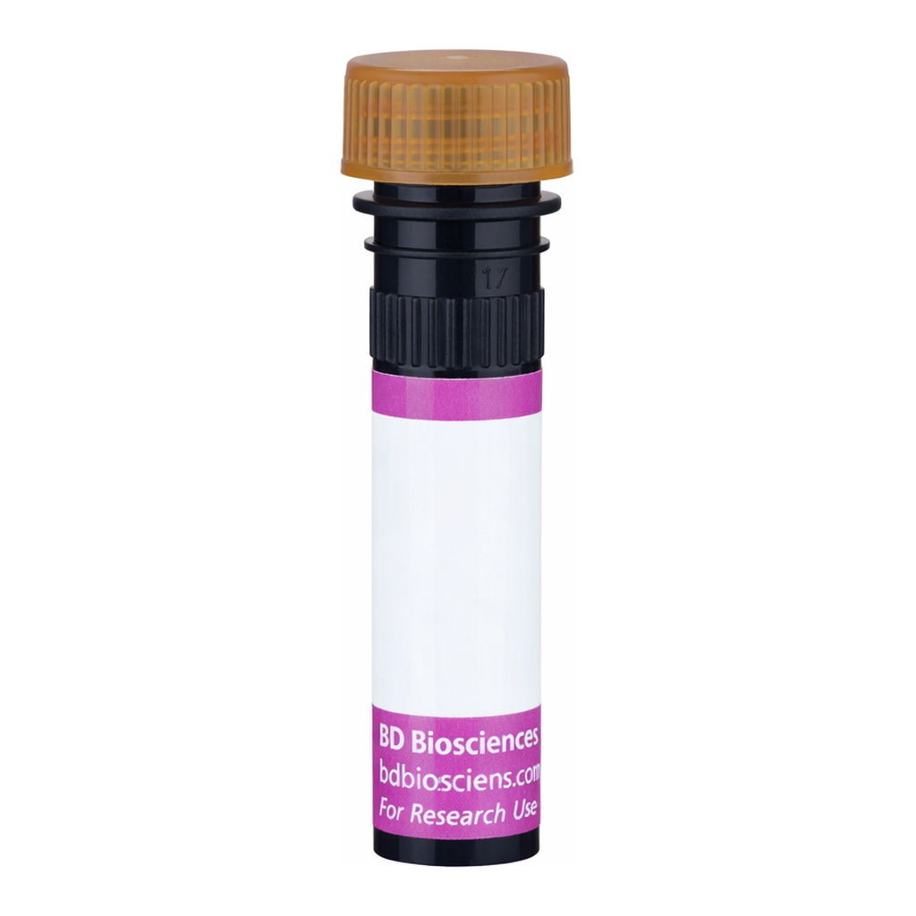 BD BV786 Mouse Anti-Rat High Affinity IgE Receptor