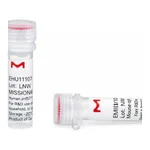 Merck MISSION(R) esiRNA