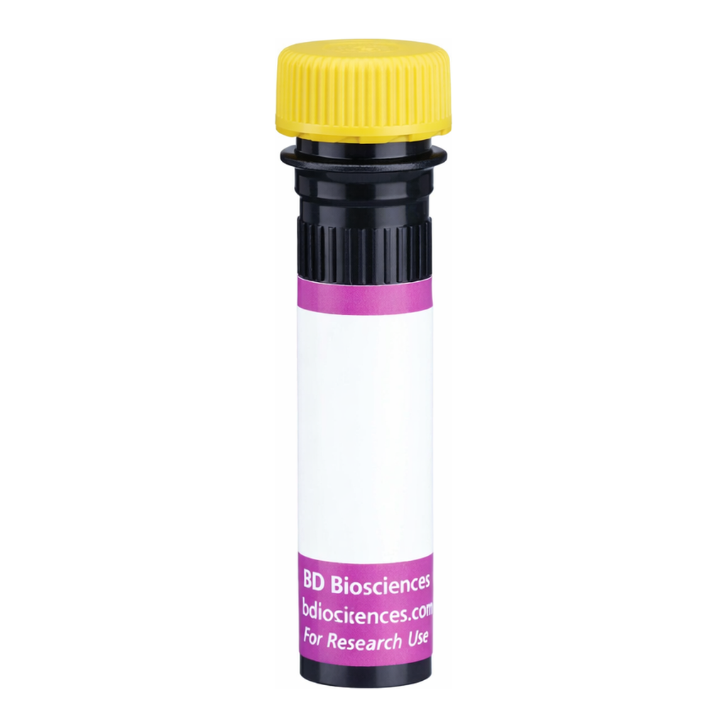 BD BV650 Rat Anti-Mouse Vβ 11 T-Cell Receptor