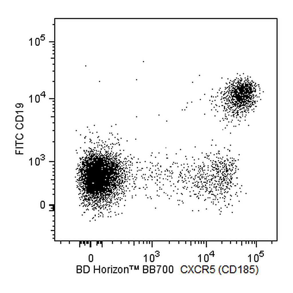 BD BB700 Rat Anti-Human CXCR5 (CD185)