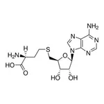 Merck S-ADENOSYL-L-HOMOCYSTEINE, UNITED STATES