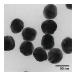 Merck SILVER NANOSPHERES, 50 NM (APS), 0.02 M&