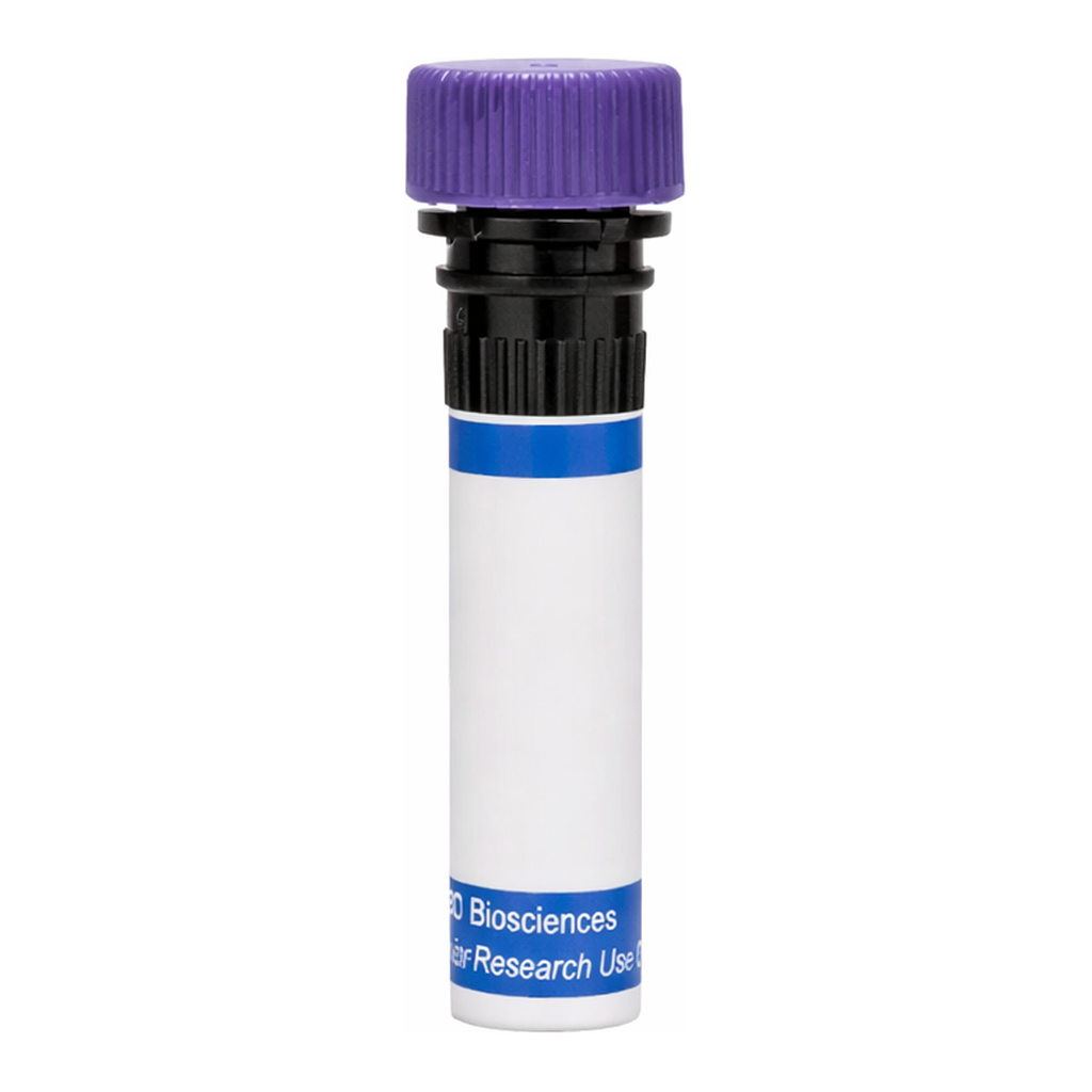 BD RB744 Mouse Anti-Human CD51 (Integrin αV)