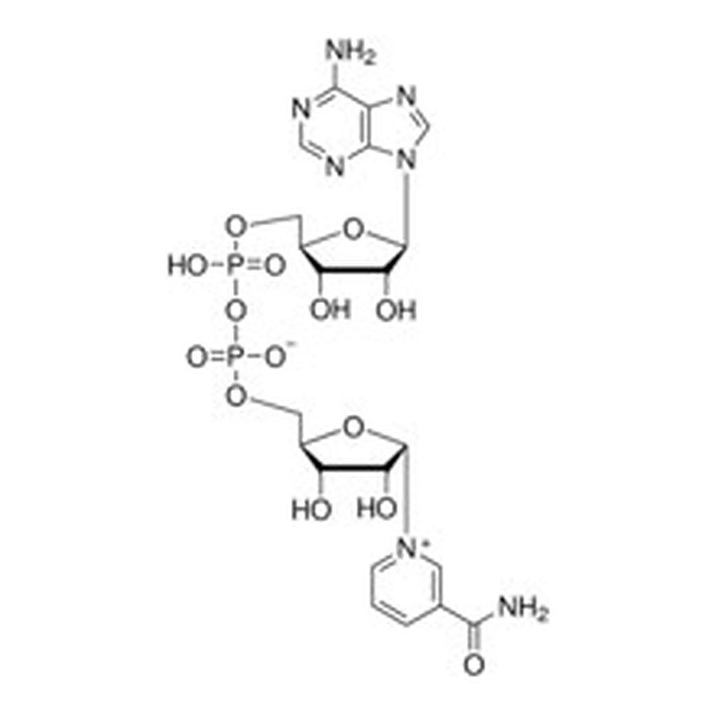 Merck A-NICOTINAMIDE ADENINE DINUCLEOTIDE