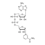 Merck A-NICOTINAMIDE ADENINE DINUCLEOTIDE