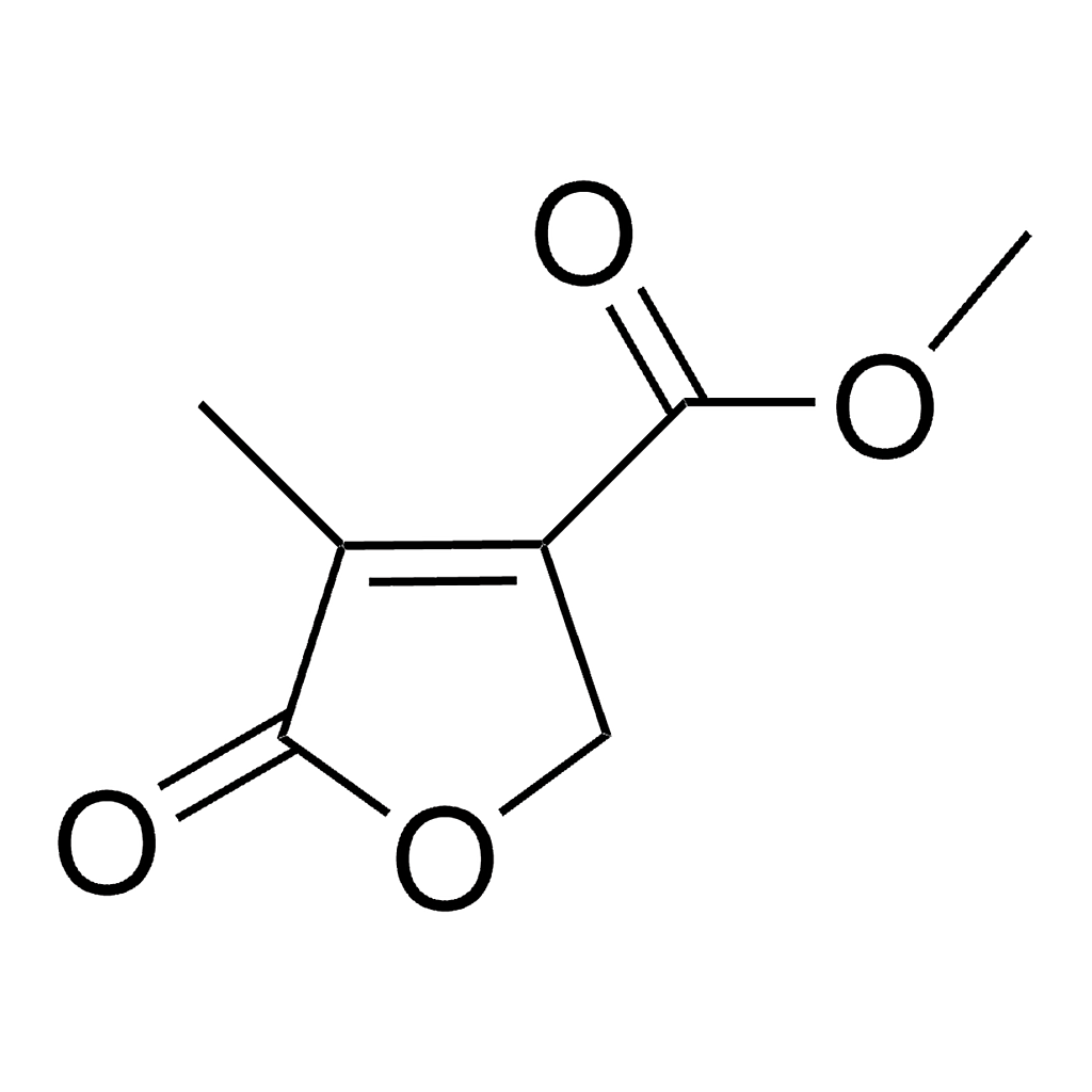 Merck METHYL 4-METHYL-5-OXO-2,5-DIHYDRO&-5MG