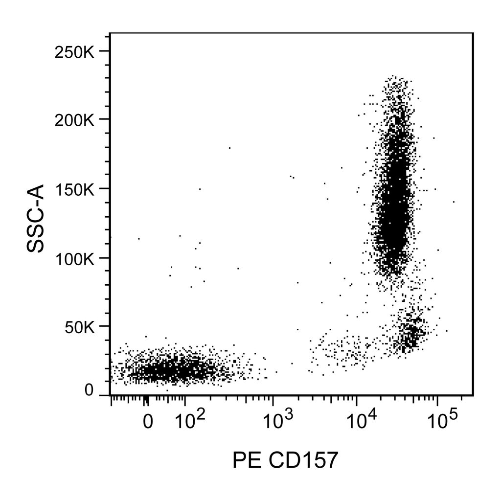BD PE Mouse anti-Human CD157
