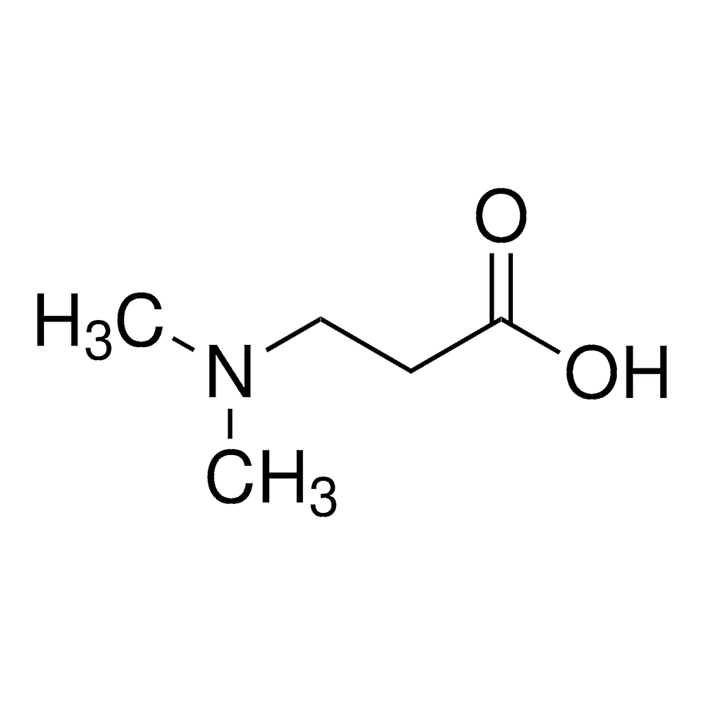 Merck 3-dimethylaminopropionic acid