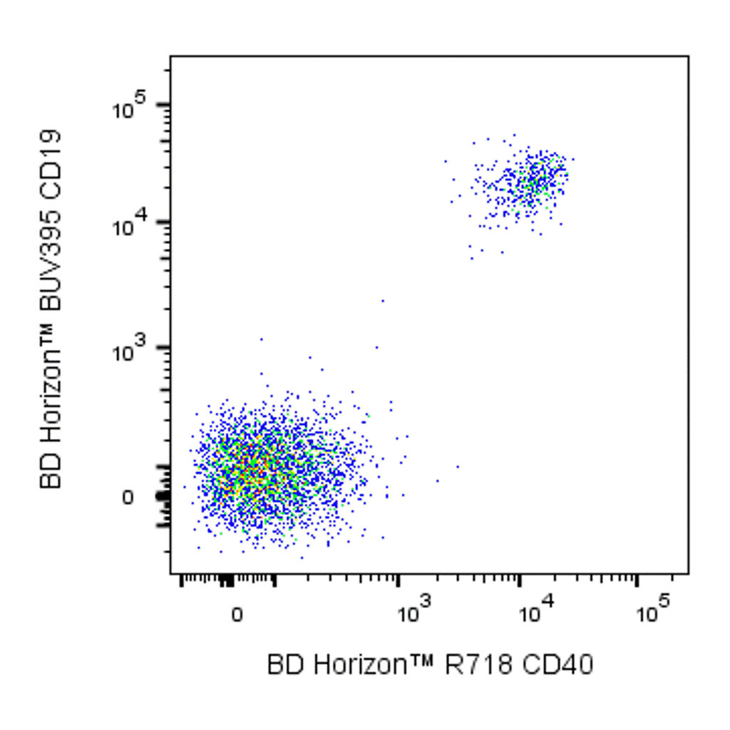 BD R718 Mouse Anti-Human CD40