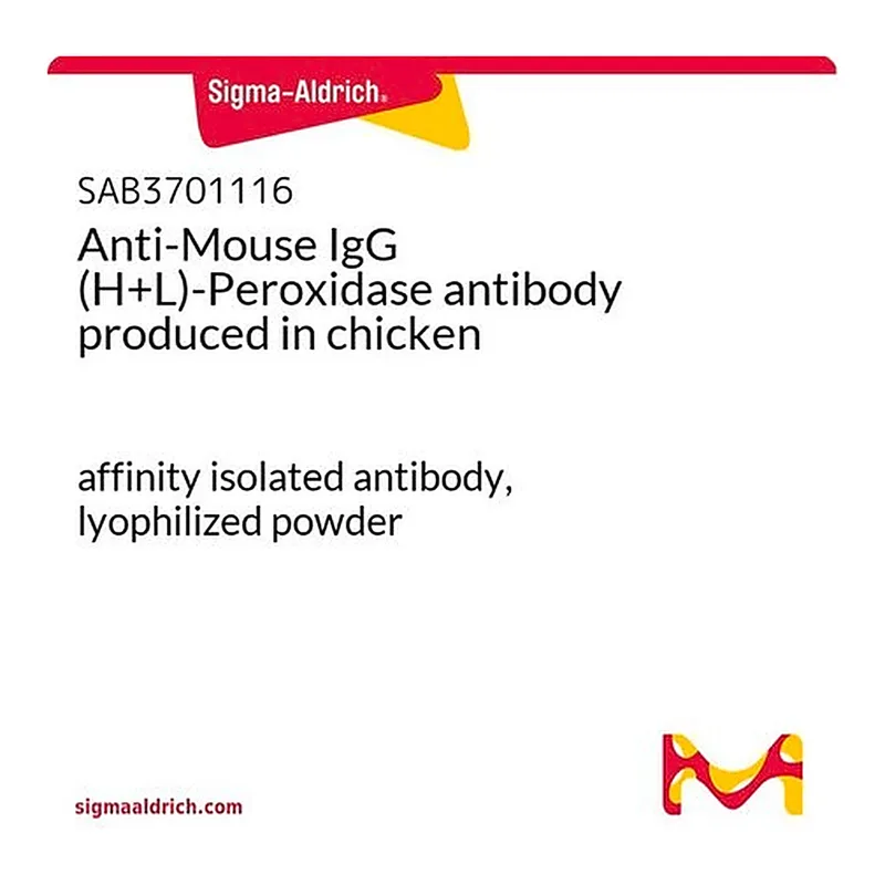 Merck Anti-Mouse IgG (H+L)-Peroxidase antibody produced in chicken