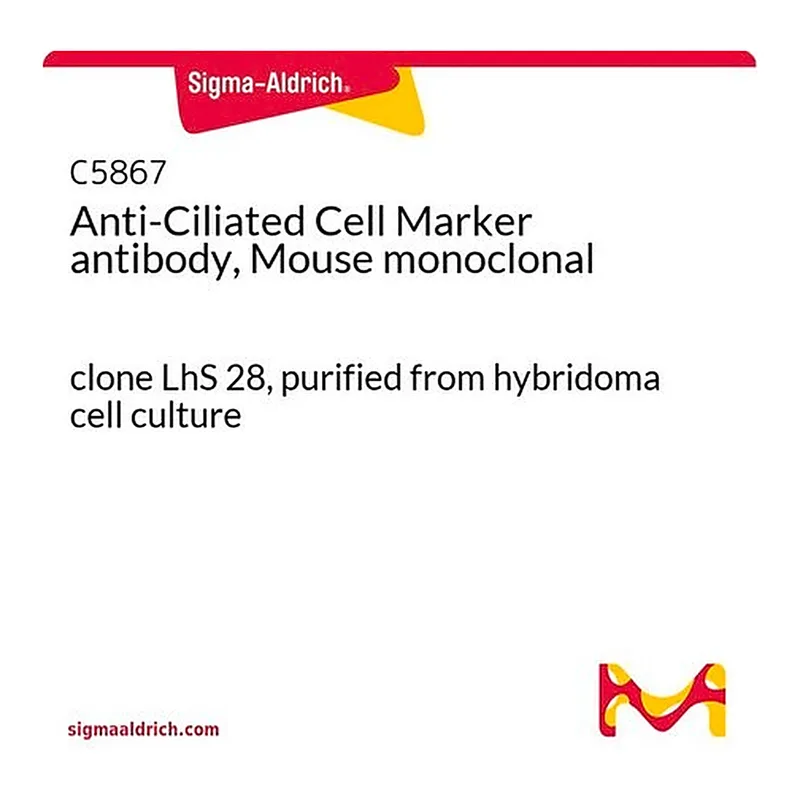 Merck Anti-Ciliated Cell Marker antibody, Mouse monoclonal