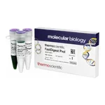 Thermo Fisher Scientific FastDigest PvuI
