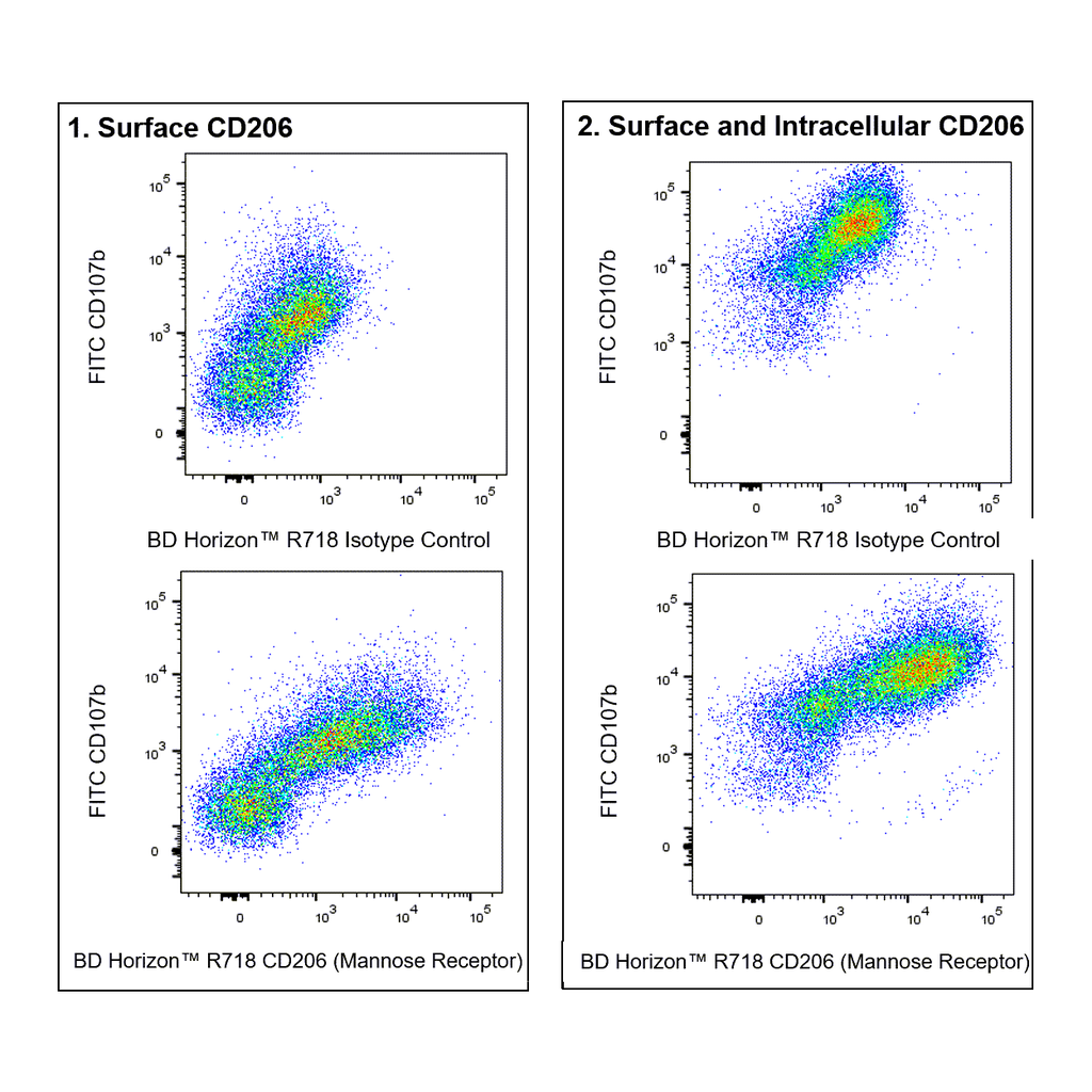 BD R718 Rat Anti-Mouse CD206 (Mannose Receptor)