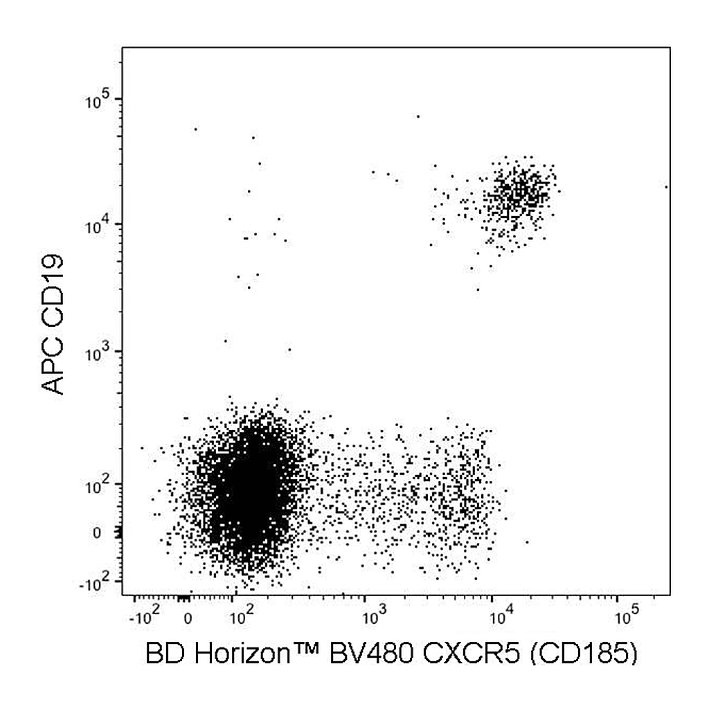 BD BV480 Rat Anti-Human CXCR5 (CD185)