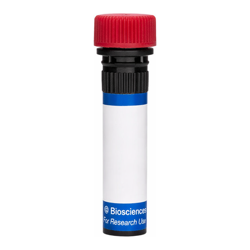BD RB670 Mouse Anti-Human TSLP Receptor