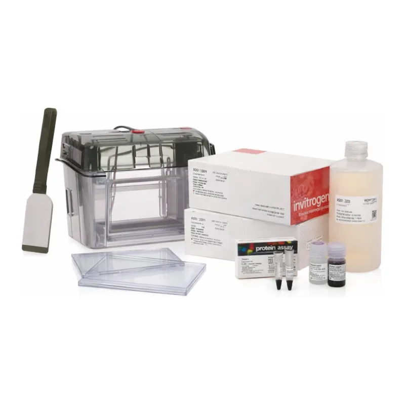 Thermo Fisher Scientific Novex Midi Tris-Glycine Plus Welcome Pack, 4 to 12%, 20-well, 1 Welcome Pk.