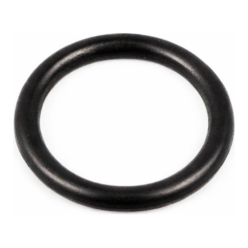 Merck ACE O-RINGS, FETFE(R) WALL SIZE 2.6 MM,&