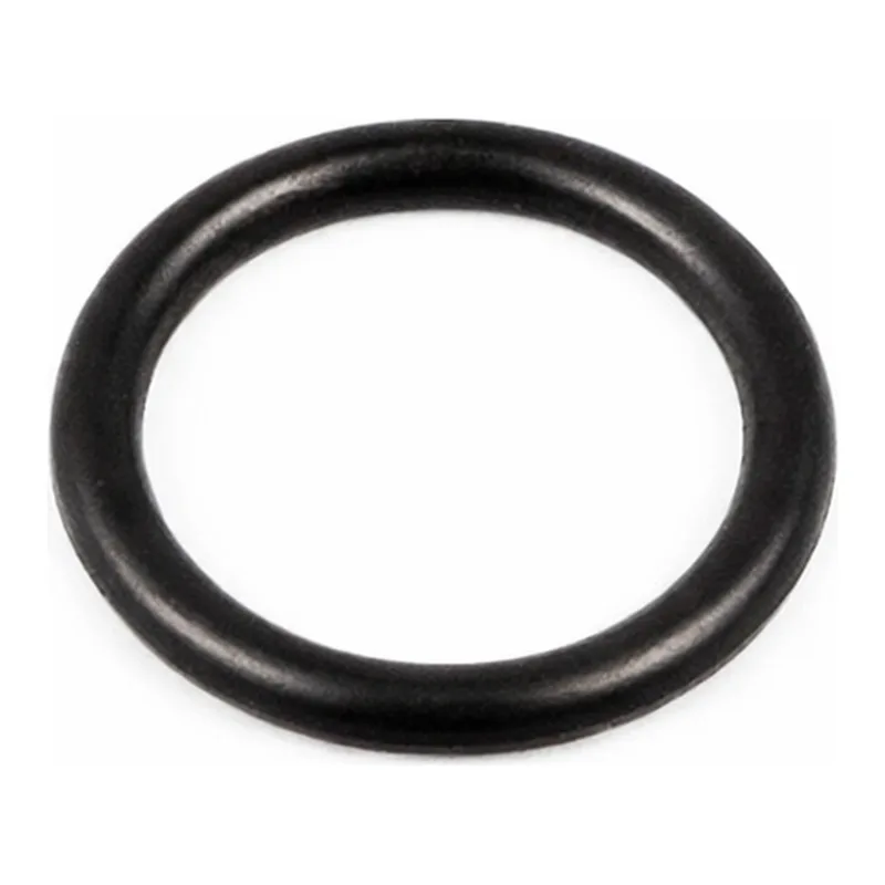 Merck ACE O-RINGS, FETFE(R) WALL SIZE 2.6 MM,&