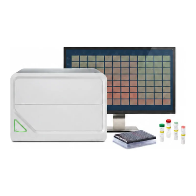 Incucyte® SX1 Live-Cell Analysis System