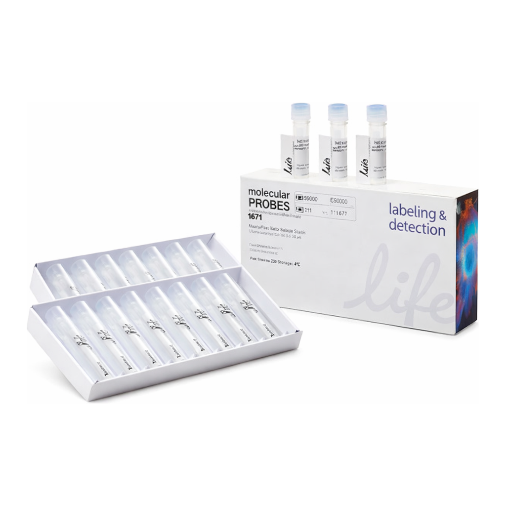 Thermo Fisher Scientific BacLight Red Bacterial Stain