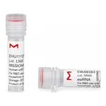 Merck MISSION(R) esiRNA