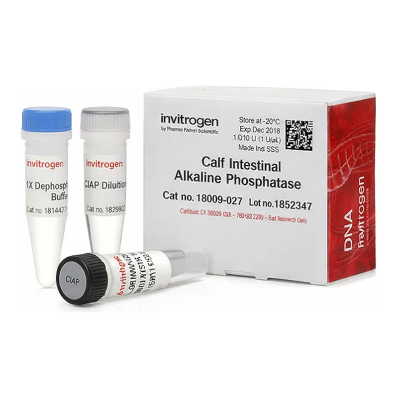 Thermo Fisher Scientific CIAP (Calf Intestinal Alkaline Phosphatase), 1 U/μL