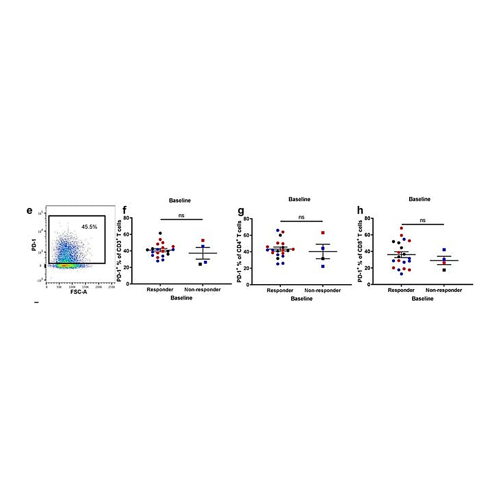 Thermo Fisher Scientific Mouse anti-Human IgG4 Fc Secondary Antibody, Biotin