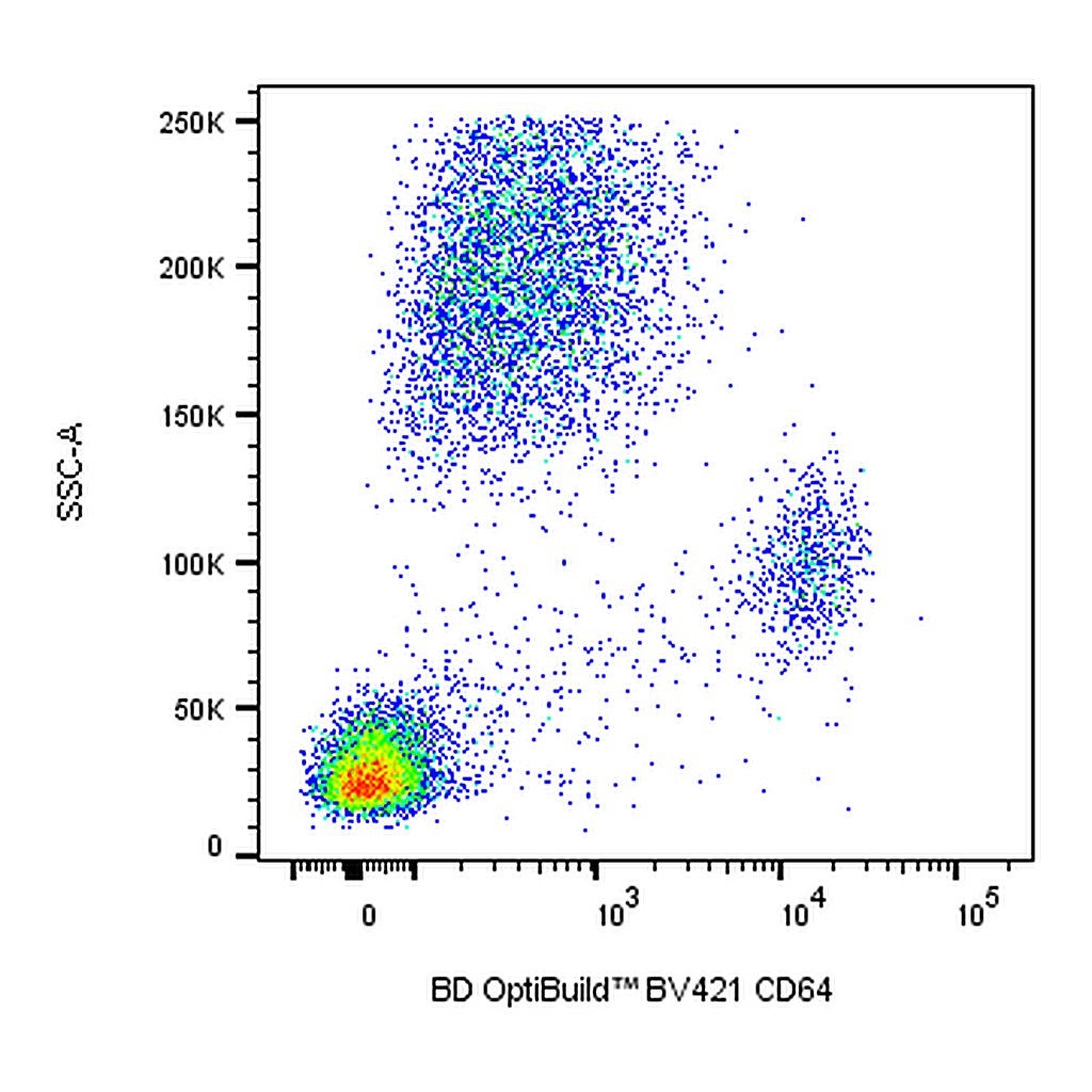 BD BV421 Mouse Anti-Human CD64
