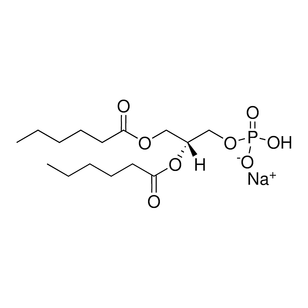 Merck 06:0 PA