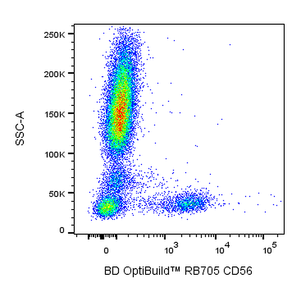 BD RB705 Mouse Anti-Human CD56