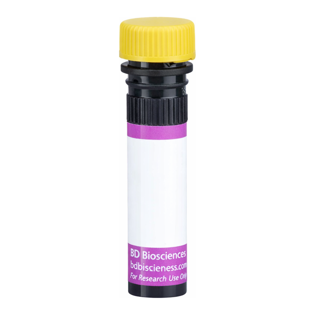 BD BV650 Mouse IgG2a, κ Isotype Control