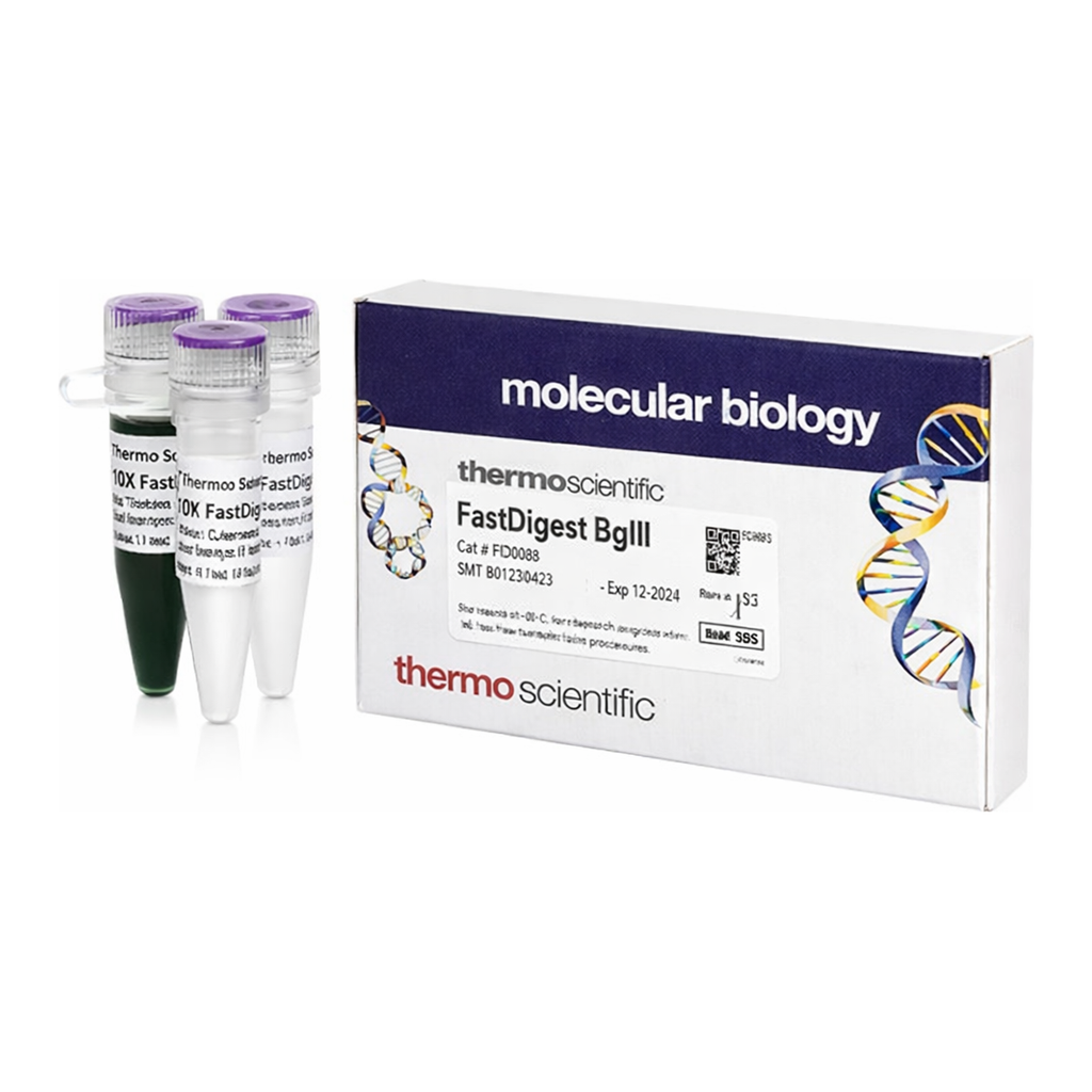 Thermo Fisher Scientific FastDigest BglII, 100 &mu;L (100 Reactions)