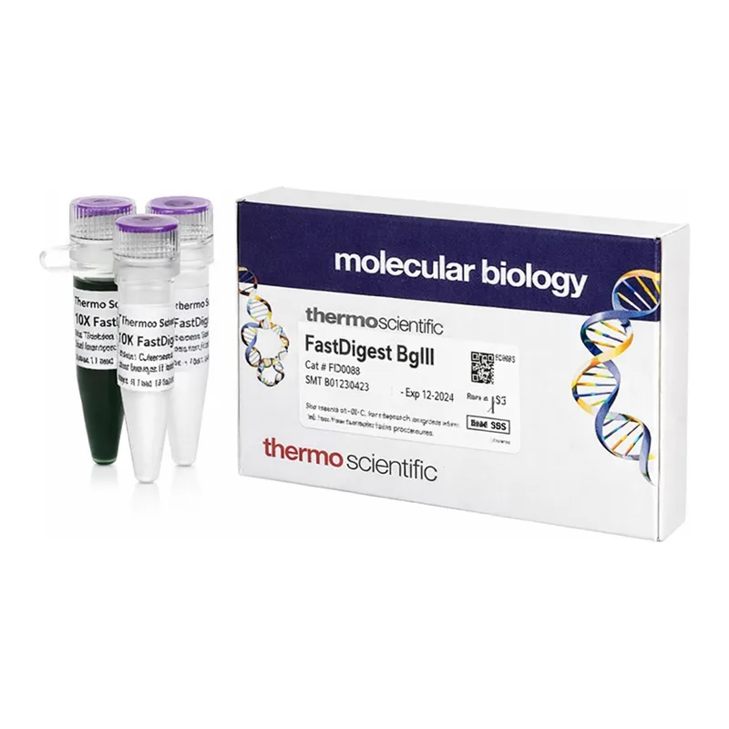 Thermo Fisher Scientific FastDigest BglII, 100 μL (100 Reactions)