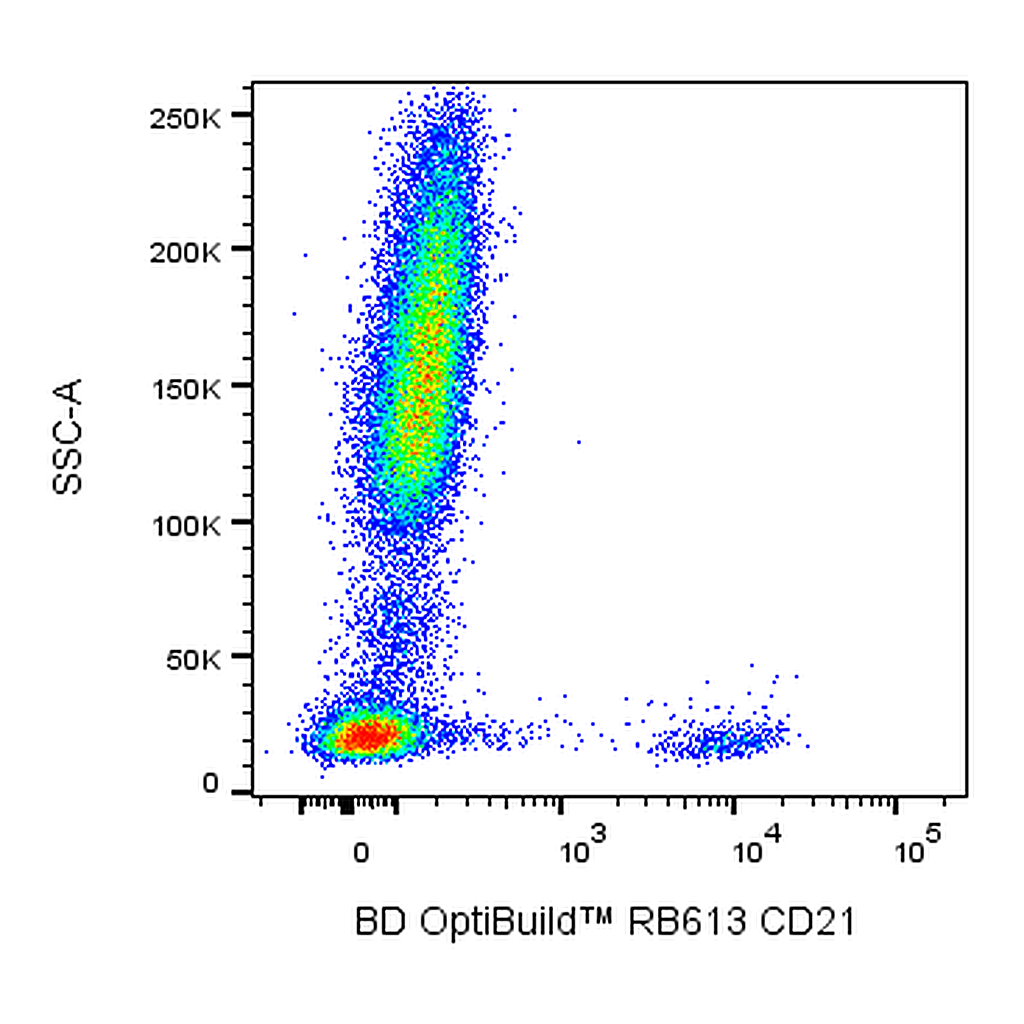 BD RB613 Mouse Anti-Human CD21