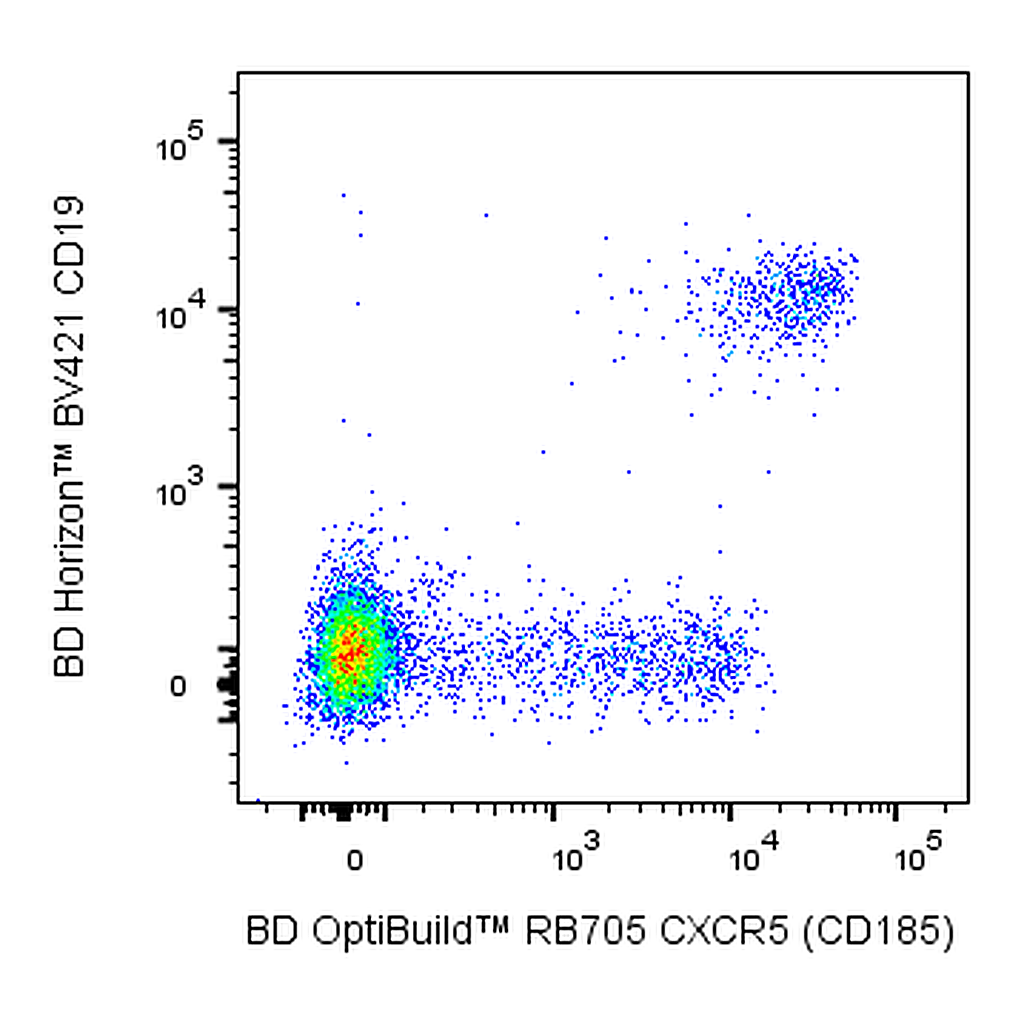 BD RB705 Rat Anti-Human CXCR5 (CD185)